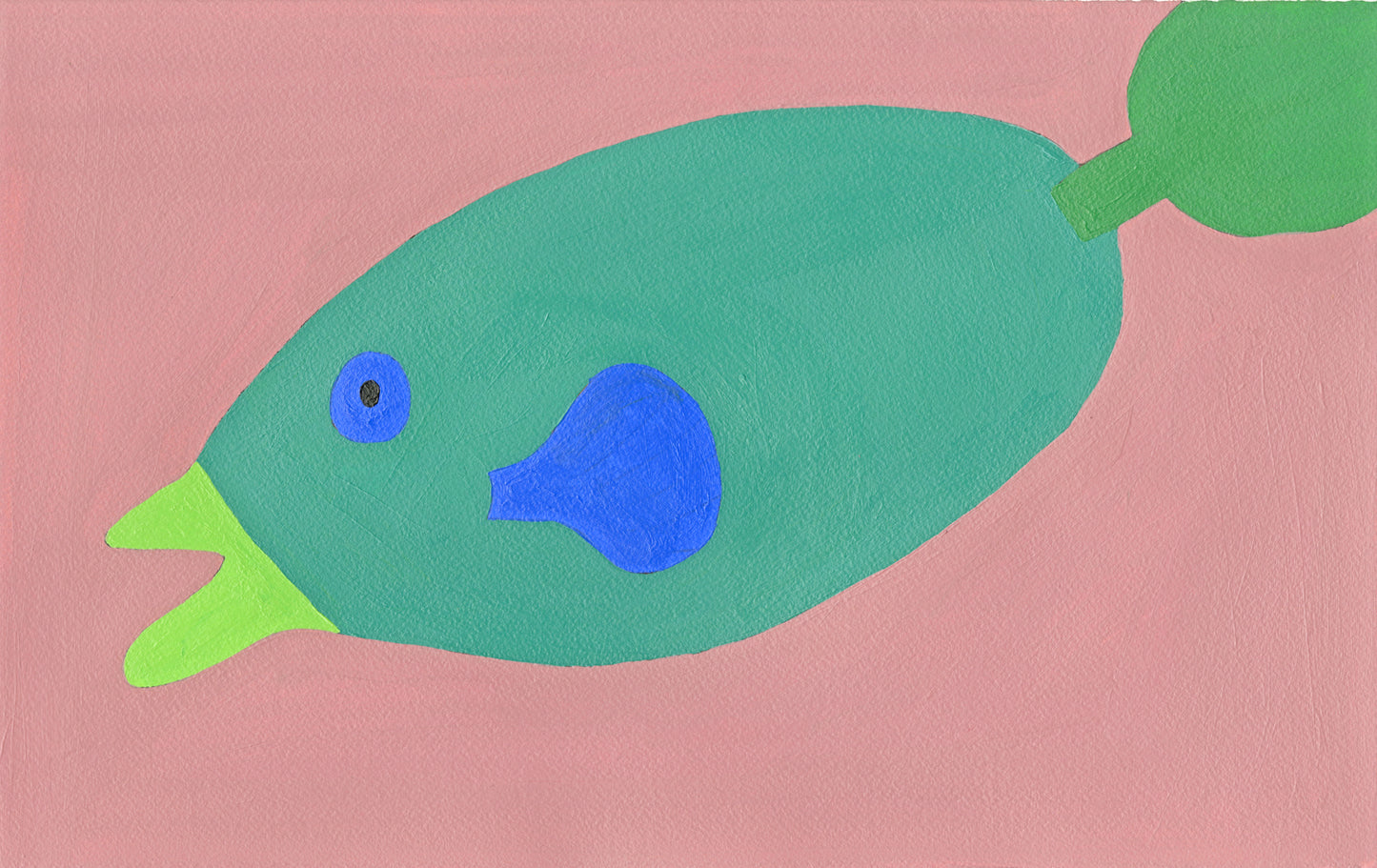 Surgeonfish (D2088)