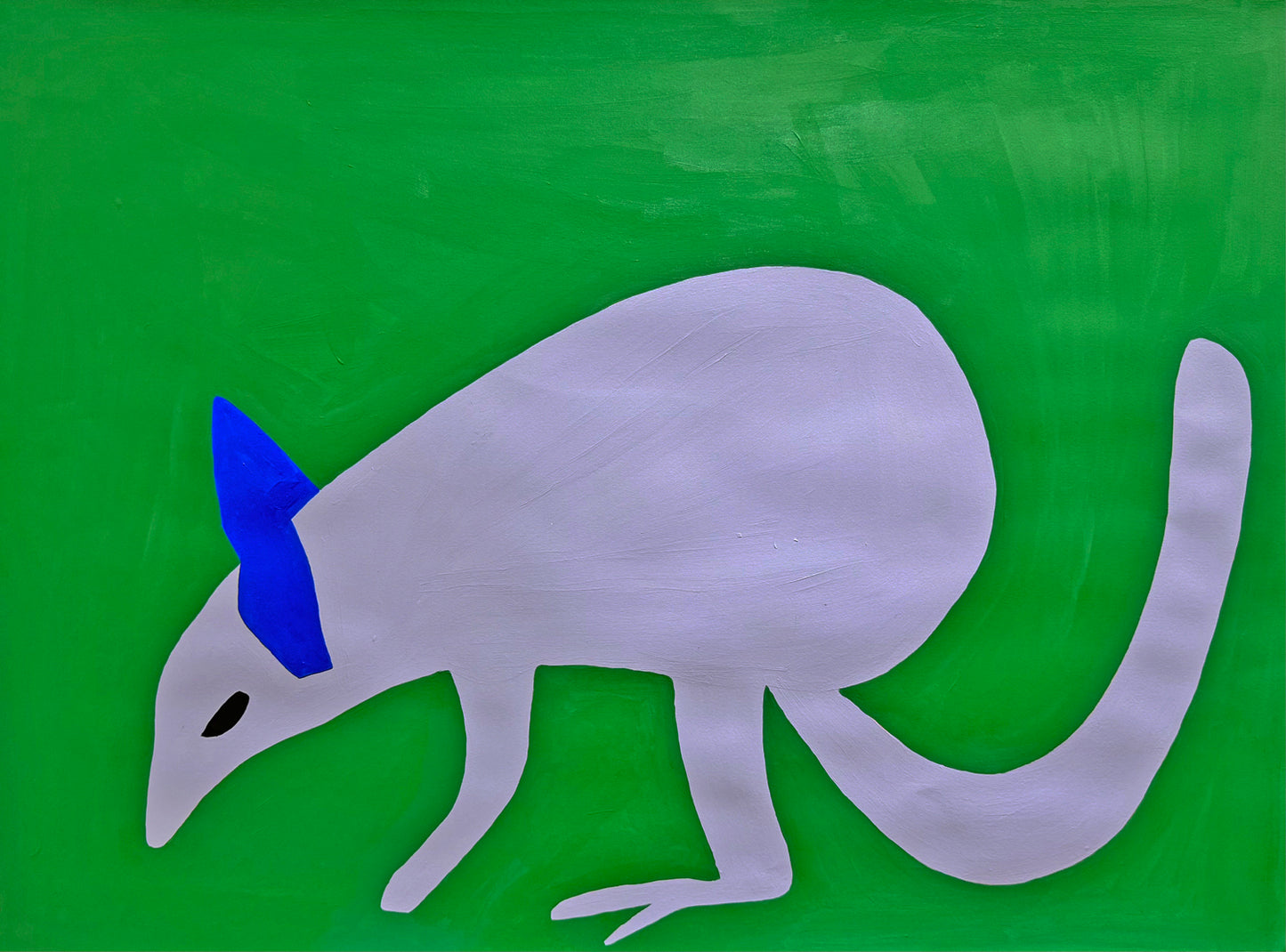 Anteater (D2089)