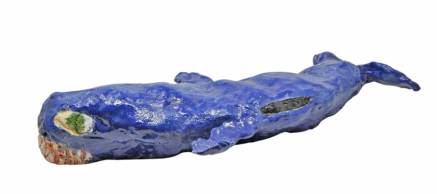 Blue Whale (S0408)