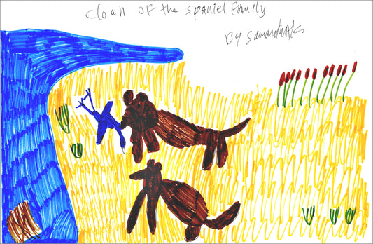 Clown Of The Spaniel Family (D8218)